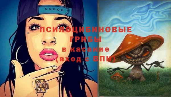 крисы Краснотурьинск