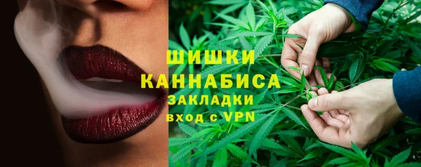круглые Корсаков
